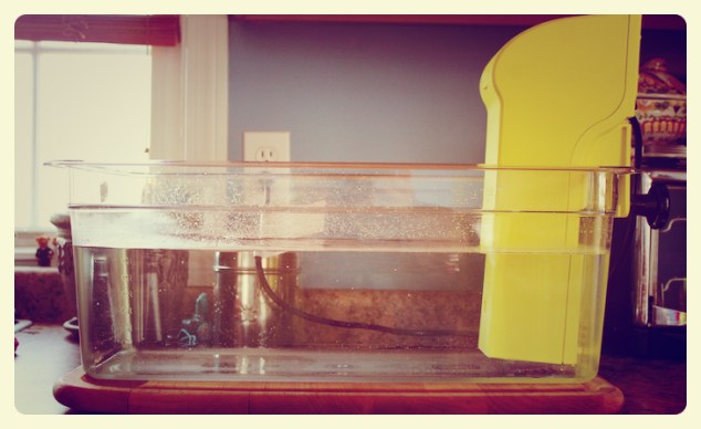 PolyScience Discovery Immersion Circulator