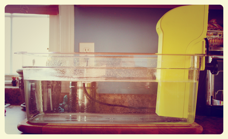 Gadgets for the home kitchen: Immersion&nbsp;circulators